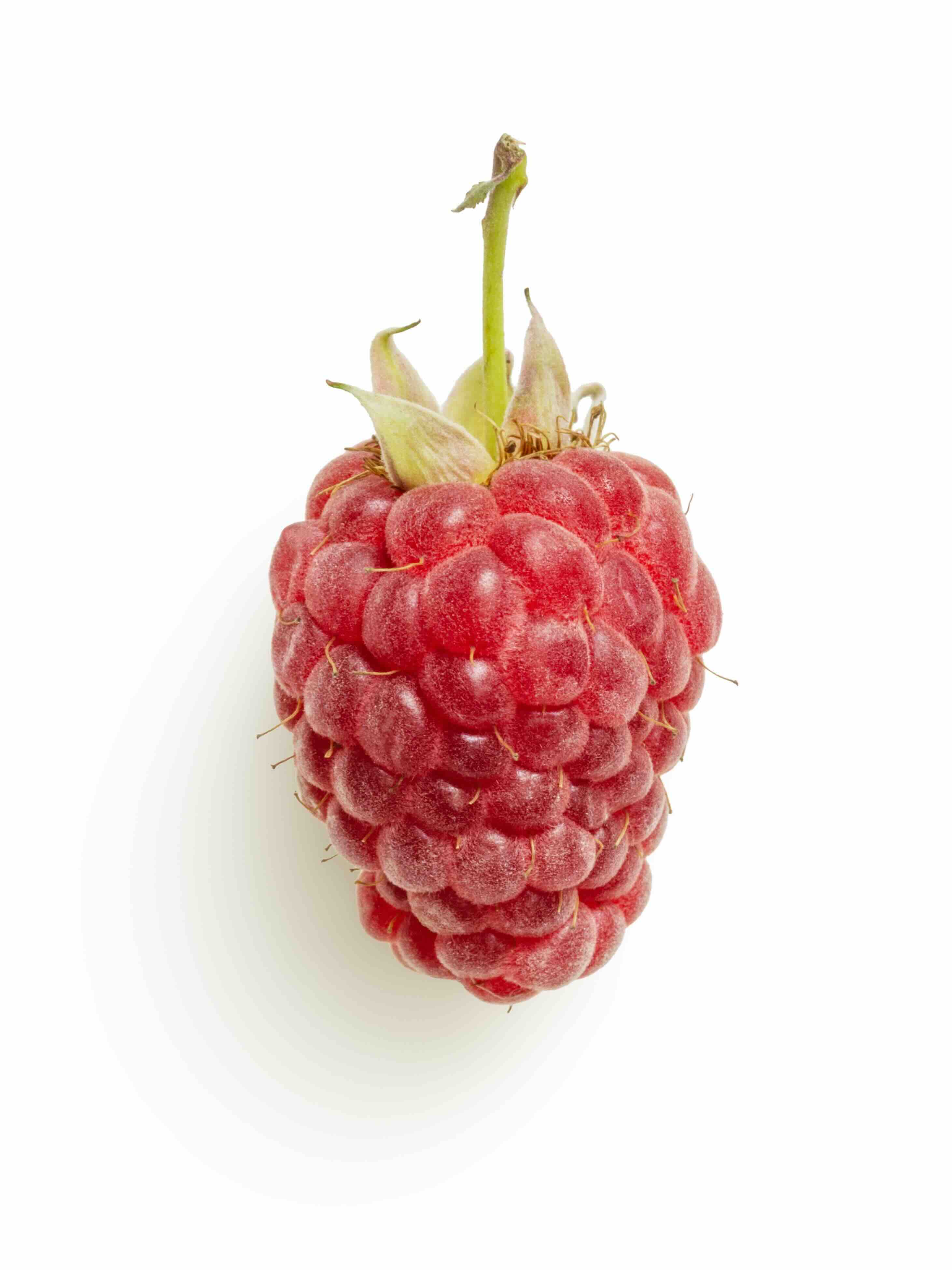 raspberry